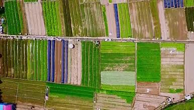 农业种植良亩农田土地耕种粮食航拍大景视频的预览图